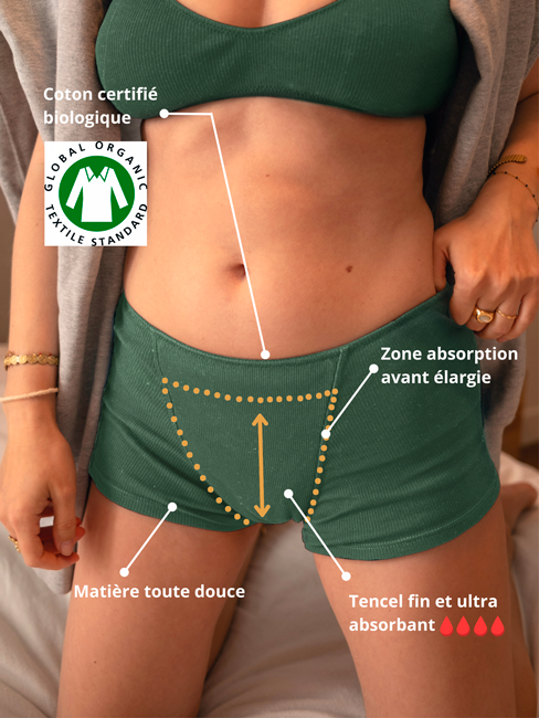 Infographie boxer menstruel vert